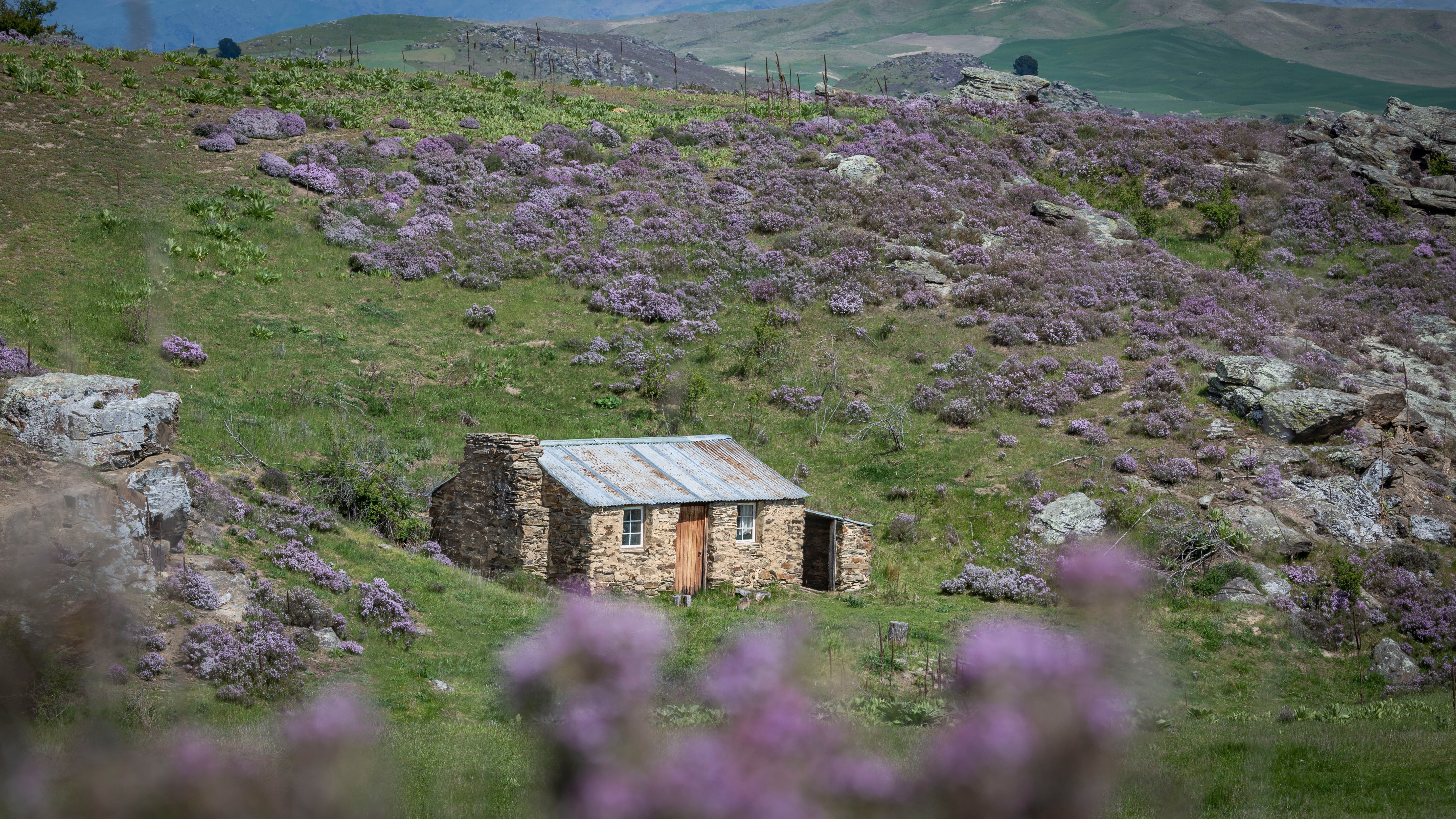 412684-cottage-blacks-hill-central-otago-credit-geoff-marks-14-image