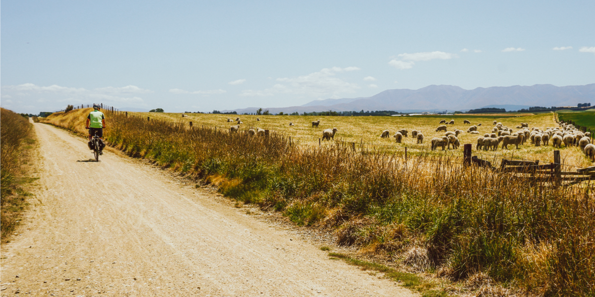 Otago Central Rail Trail Highlight 10-image