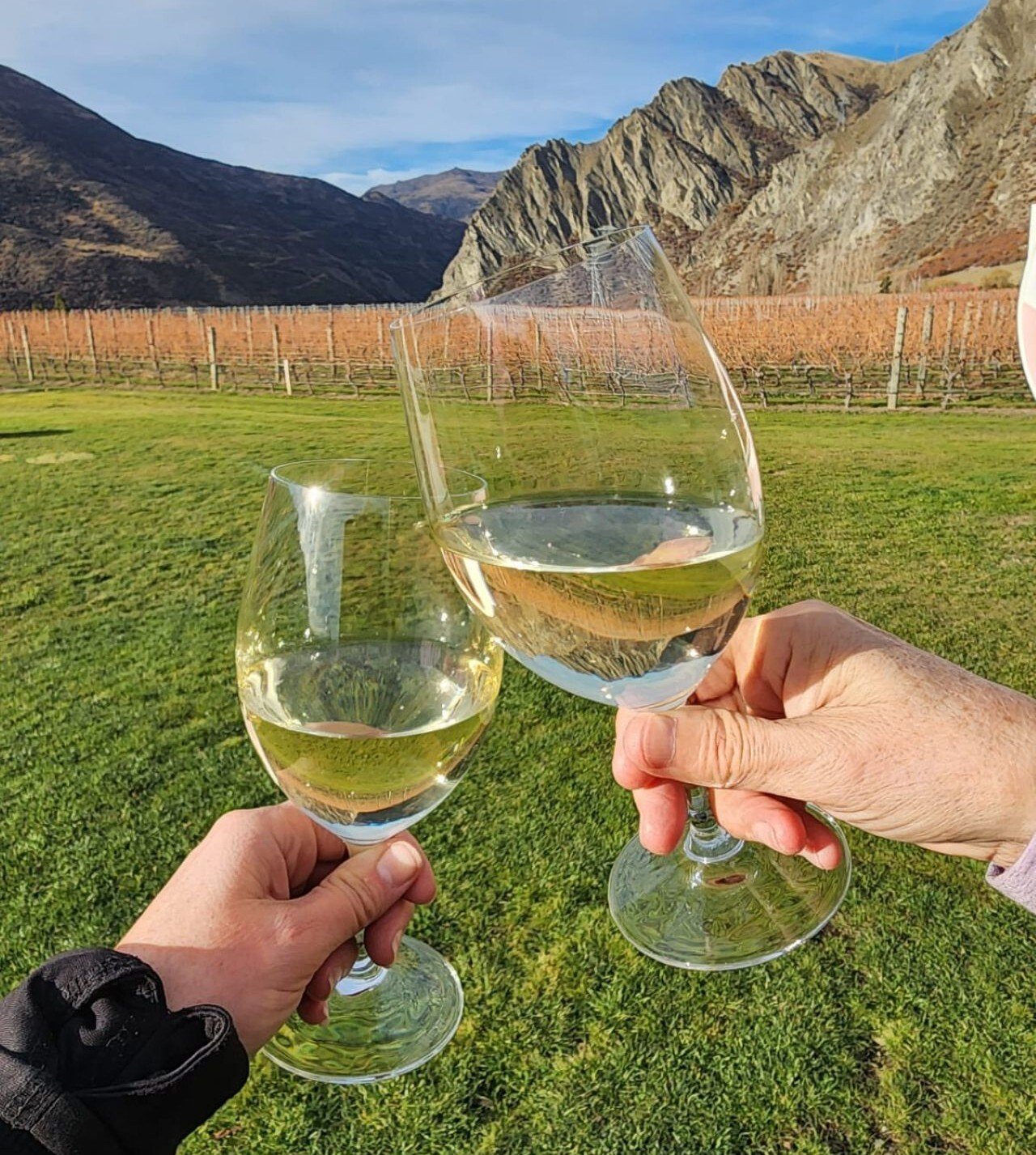 Wine Nevis IG friendly-image