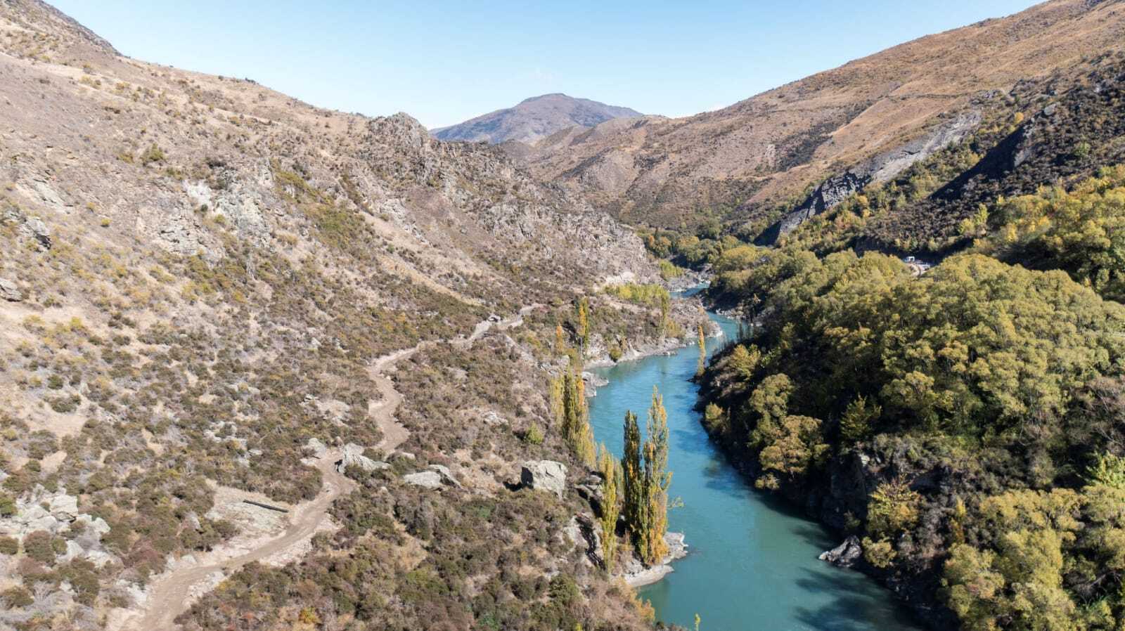 dbb72cbf-786d-48f3-8059-17816e5bd9e3-image