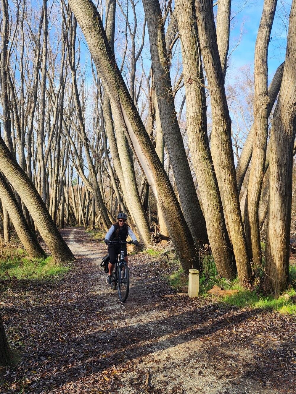 river track rider-image